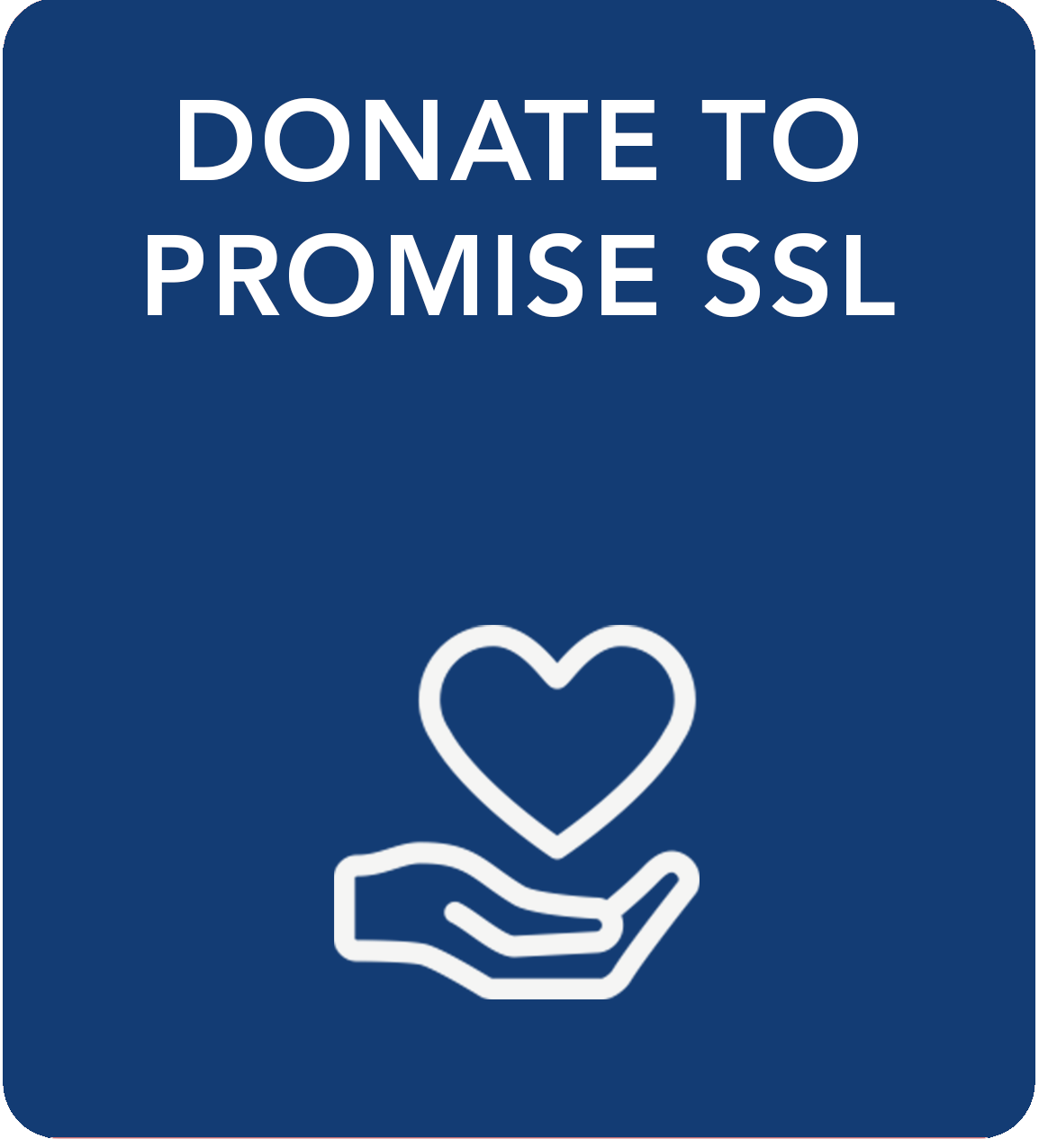 donate to promise--icon