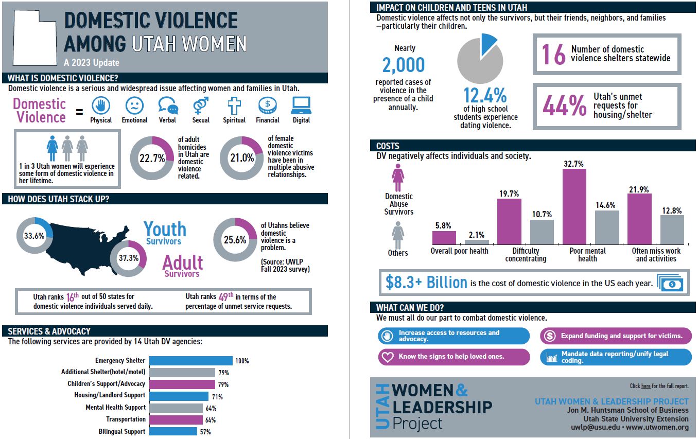 2023 Domestic Violence