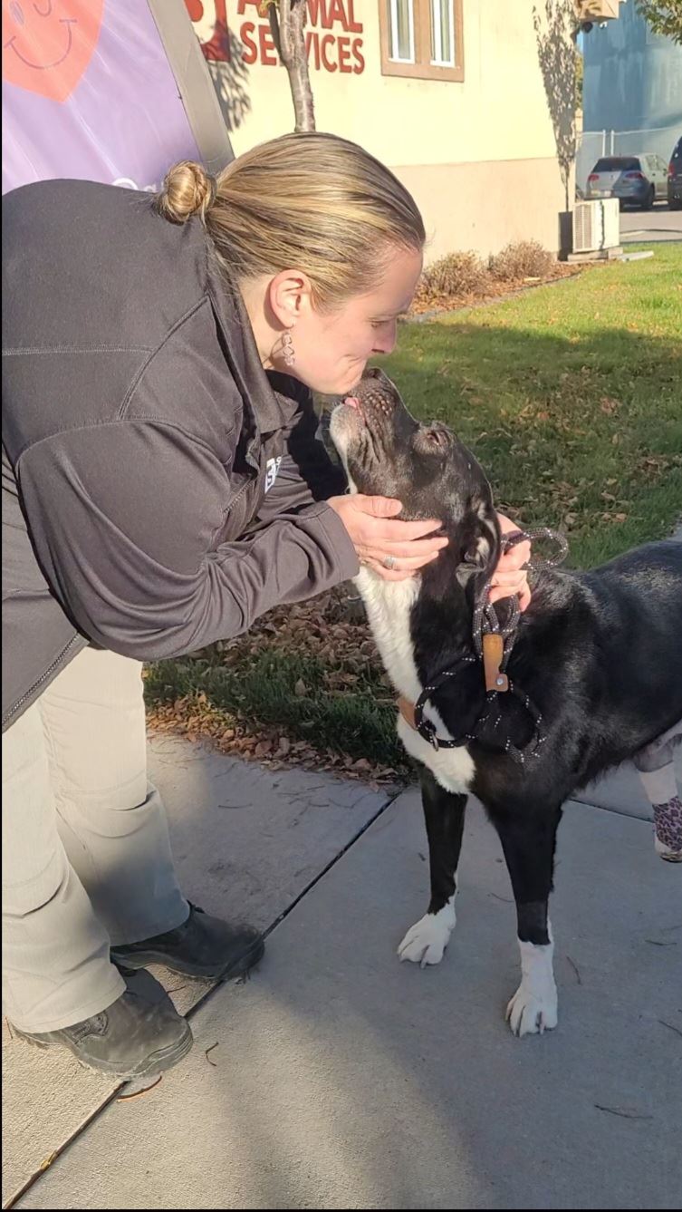 Poly the Dog giving a kiss to one of the staff at South Salt Lake Animal Services